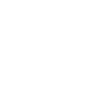 Cockroach cockroach vermin insect pest panic