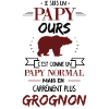 Papy ours