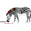 The rainbow