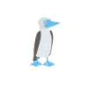 Booby Boobies Penguin