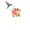 Kolibri