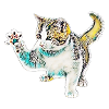 Chat