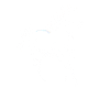 Cheval blanc