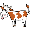 funny cow