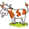 funny cow