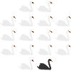 Philosophie Black Swan Popper