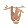sloth