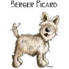 Berger Picard - Chien- Cadeau