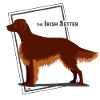 The Irish Setter by IxCÖ