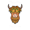 Highland Cattle Highlander Cattle
