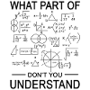 Engineer mathematician