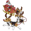 Beagle Christmas
