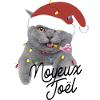 CHAT NOYEUX JOEL JOYEUX NOEL
