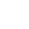 Vizsla