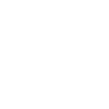 Vizsla