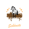Pferde Spruch