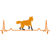 Fox heartbeat