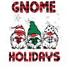 Gnome For The Holidays