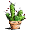 Cactus épineux