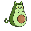 Avocado avocado lover