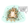 Katzenminze
