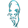 Big cat