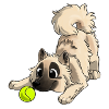 Der süßeste Eurasier