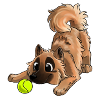 The cutest Eurasier