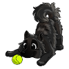 The cutest Eurasier