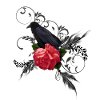 Wonderful crow with rose