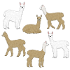 Alpaca selection