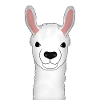 Alpaca head