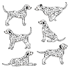 Dalmatian selection