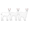 Alpaca wool