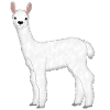 Alpaca 5