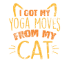 Yoga cat