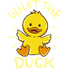 What the hell is that?