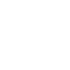 Bugs Beetles insects beetles insects