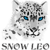 Léopard des neiges gros chat