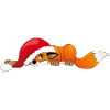 Fox with Christmas hat