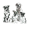 Hunde