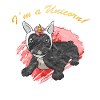 Bouledogue français frenchie bouledogue français
