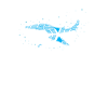 Whale - whale - sea creatures