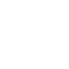 DreamTeam marsvin