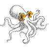 Krake