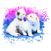 Cat and Dog