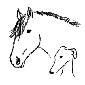 Windhund und Pferd