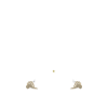 Le continental