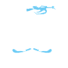 Biathlon competition