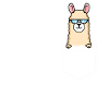 Alpaca Sunglasses Lama